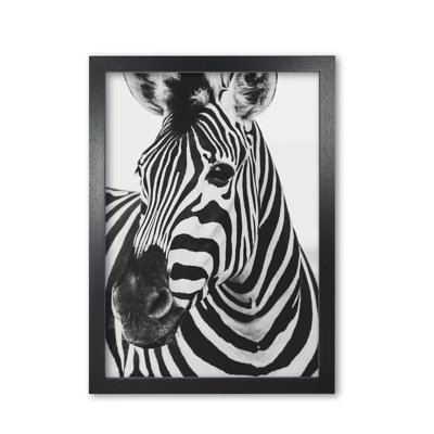 Zebra - Print