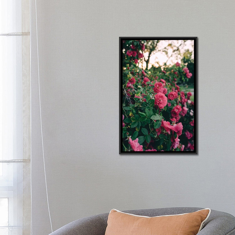 « rose douille ii », reproduction de photo sur toile, H 26 po x l 18 po x P 1,5 po, Toile avec cadre noir, Pas de tapis