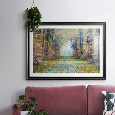 " Enchanted Path "