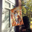 Chat en feuilles d'automne-112700506