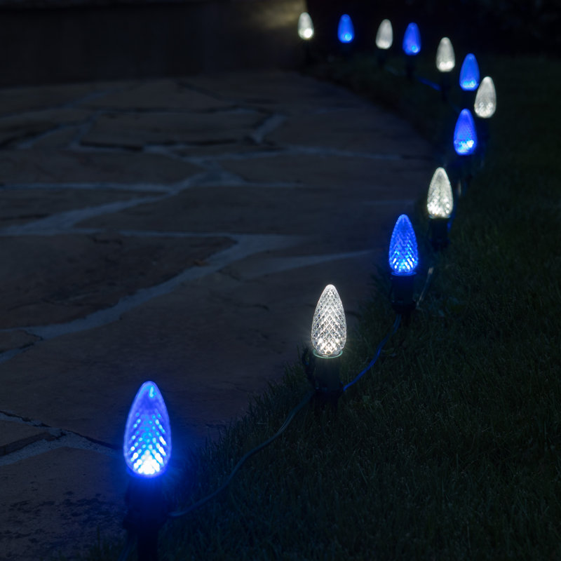 50-Foot Blue and White LED Pathway Lights with Stakes