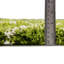 Tapis de couloir contemporain Modon vert-ivoire-71186207