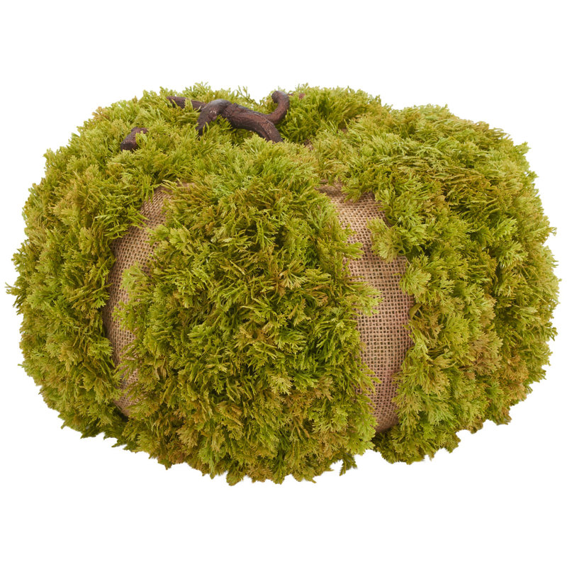 Fausse citrouille mousse 15 po