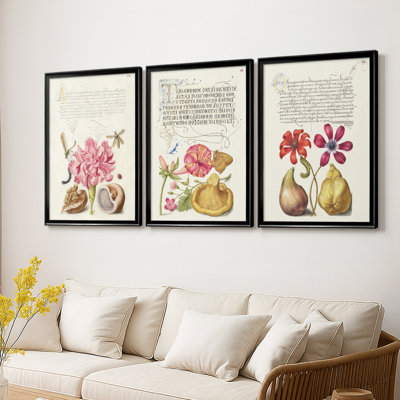 Hoefnagel Tropical Specples VI - Toile tendue avec châssis sur mesure - 3 pièces