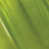 Green selected