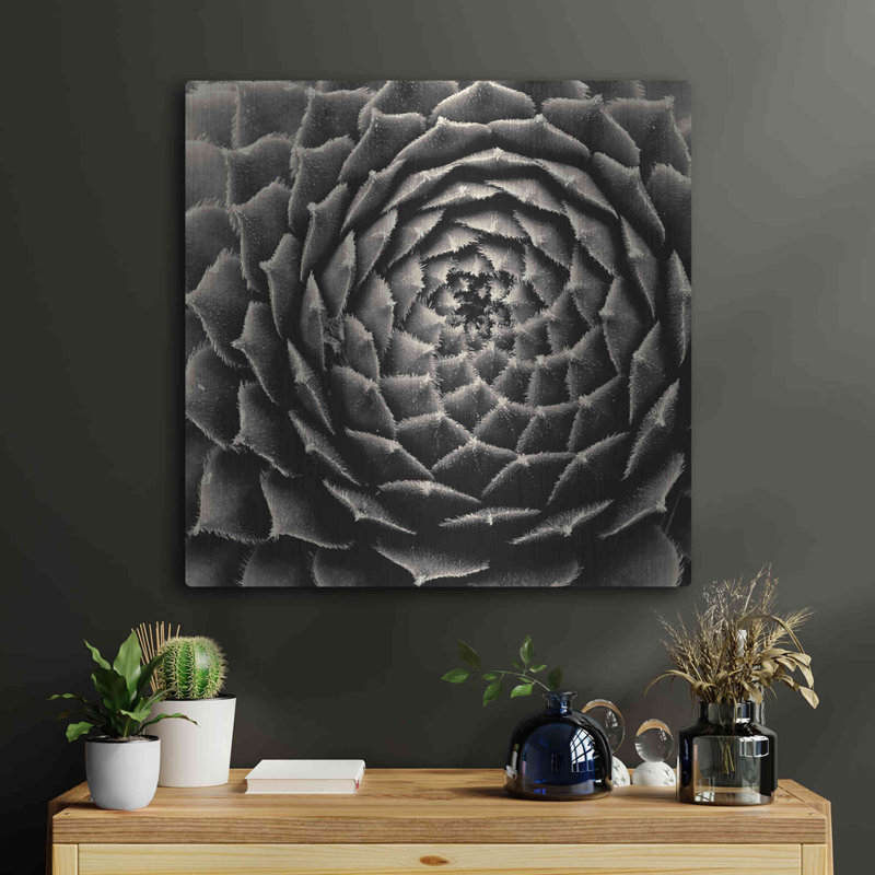 «Succulent» par Gary Horsfall, H 24 po x l 24 po