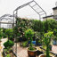 Metal Garden Arch Climbing Plants Support Rose Arch Outdoor Black