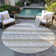 Chayden Indoor/Outdoor Chantille ACN1013 Gold Area Rug