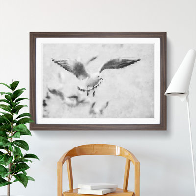 Seagull Birds - Picture Frame Graphic Art