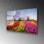 Boze Wall Decor