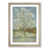 Oak Framed selected
