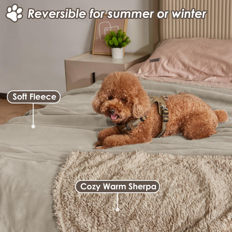 Pet Blanket, Camel 