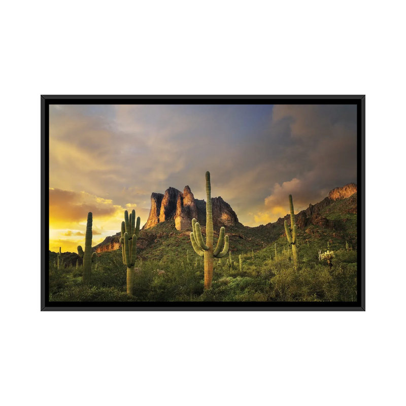 «Desert Sunset», reproduction d'art sur toile encadrée, H 18 po x l 26 po, Noir, Reproduction encadrée sans passe-partout