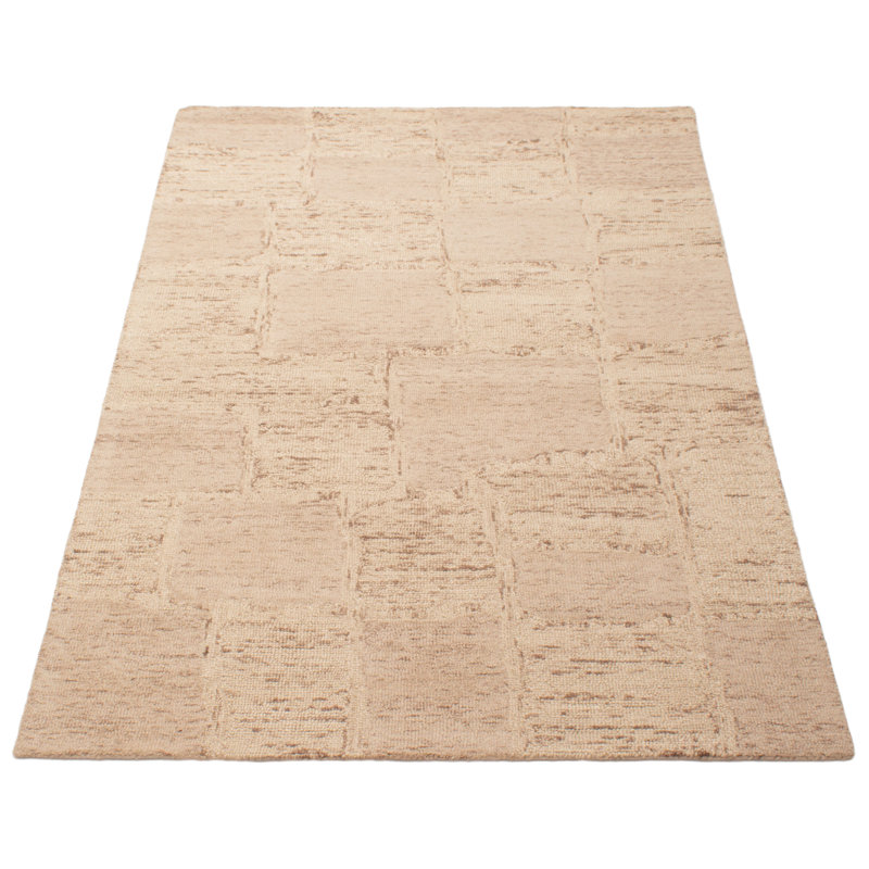 Tapis brun clair intemporel 5 pi 1 po x 8 pi 0 po