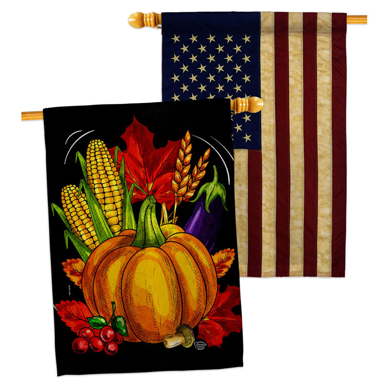 Drapeau de maison en polyester 2 côtés 3 pi 3 po x 2 pi