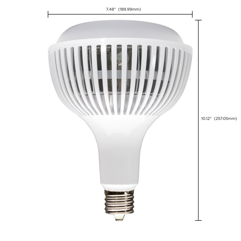 Ampoule à DEL 80 W à intensité variable, culot E39, 4 000 K