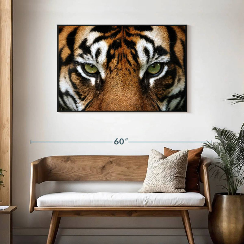 Brampt regard d'un tigre, H 29 po x l 43 po