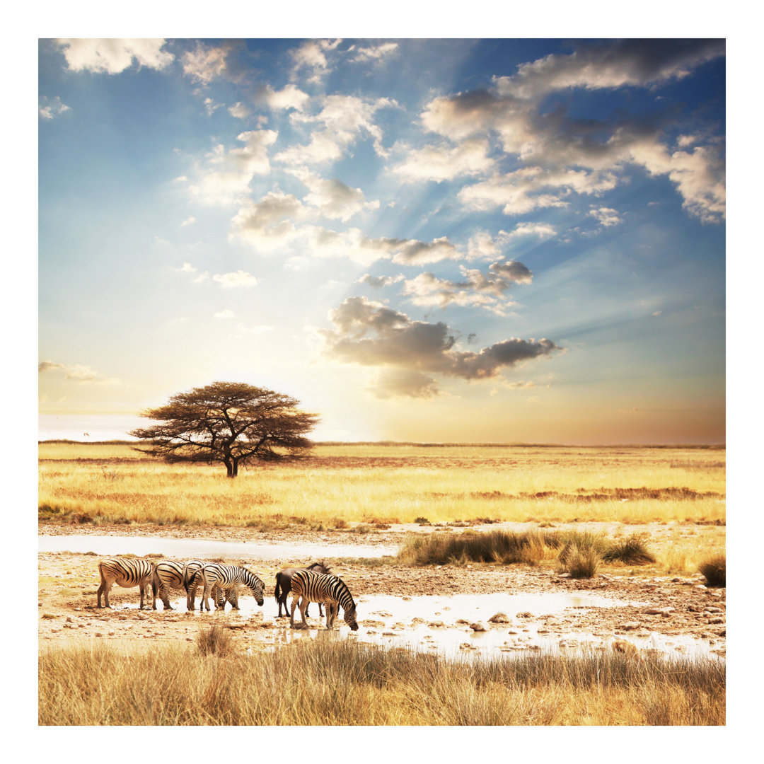 The Life of Zebras 1.92m x 1.92m Textured Matte Peel & Stick Wall Mural