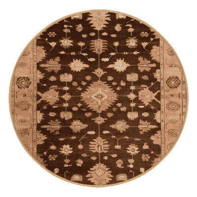 Machine Washable Overdyed Brown Area Rug