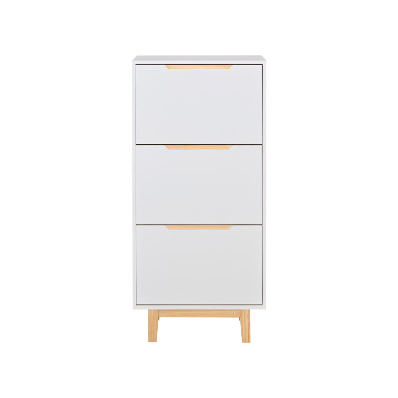 12 Pair Shoe Storage Cabinet