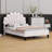 Madinah Upholstered Platform Bed-278204948-312690077