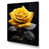 Wrapped Canvas