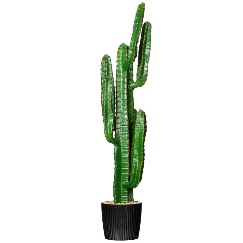 45 po Cactus vert doigt dans un pot noir de 8 po