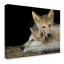 «Wolf Pup Brothers» de Fillmer, reproduction de photo sur toile tendue-30358389