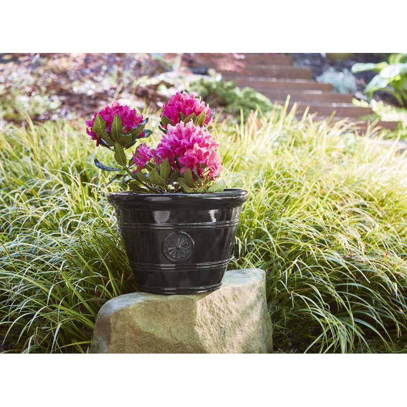 15.25" Modesto Resin Planter (2 Pack)