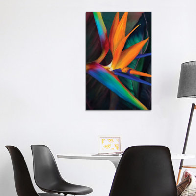 «Birds of Paradise» par Juliana Loomer - reproduction
