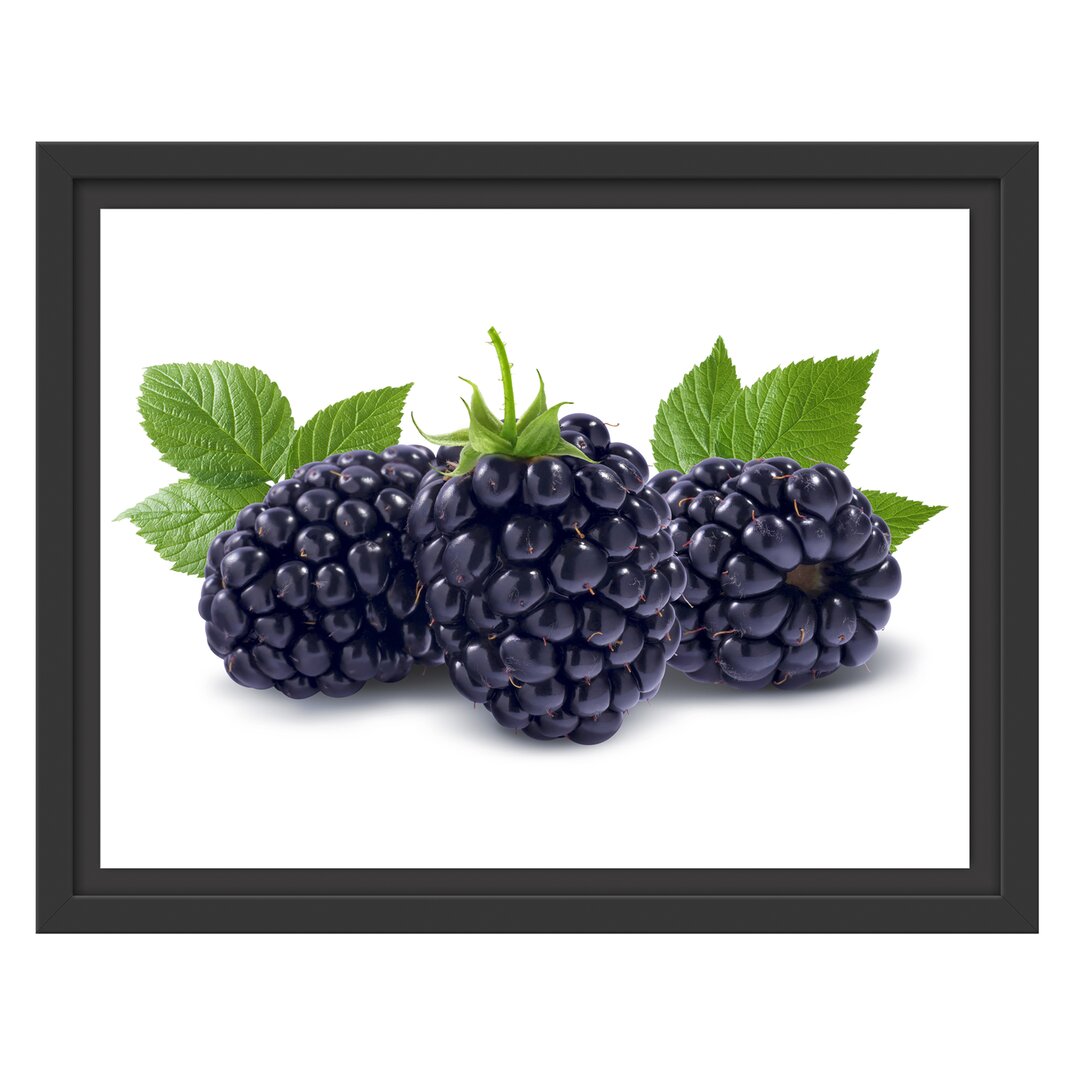 Gerahmtes Wandbild Leckere Brombeeren