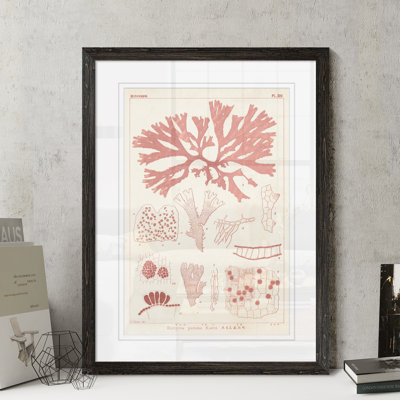 " Antique Coral Seaweed III " by Paul Cezanne Acrylic Painting