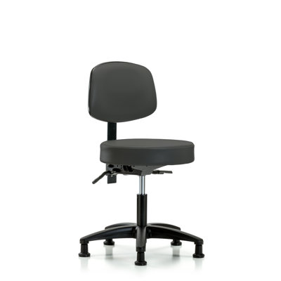 Amundson Backed Adjustable Height Ergonomic Lab Stool
