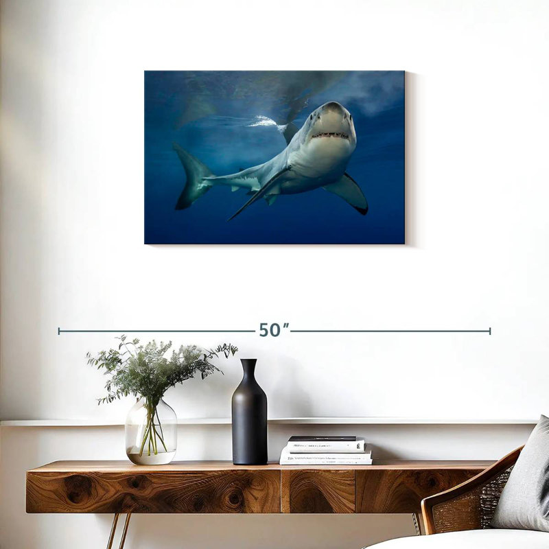 Brampt Shark Pursuit, H 20 po x l 30 po