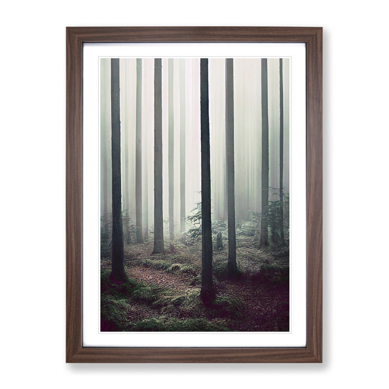 A Quiet Forest - Wall Art, 36cm H x 27cm W x 2cm D, Walnut Framed, White