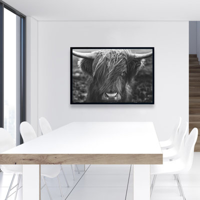 " Monochrome Portrait Highland Cow "