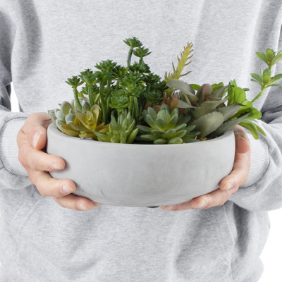 Benita 7'' Faux Succulent in Cement Pot