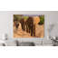 Herd Of African Elephants, Kenya by Anonymous - Wrapped Canvas Print-2023685657
