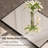 Areiona Beveled Bathroom Accent Vanity Mirror-863007099-863007096