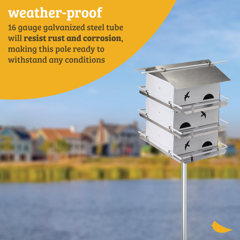12 ft. Heavy Duty Telescoping Pole for Purple Martin House