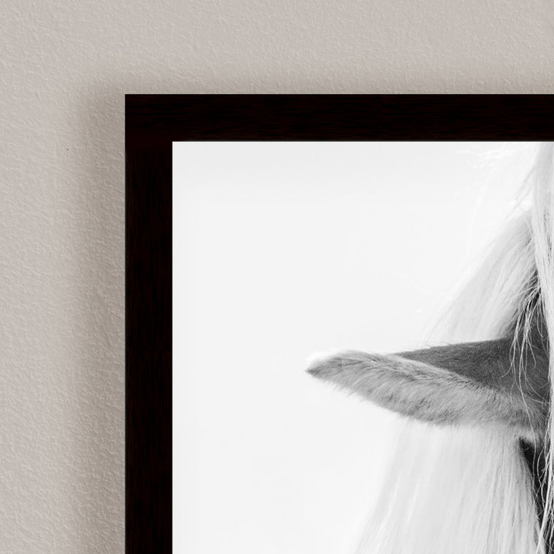Nature Inspired Halflinger Portrait by  - Picture Frame Photograph on Paper, 24" H x 36" W x 1.125" D, Black
