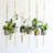 Chyvonne Plant Hanger