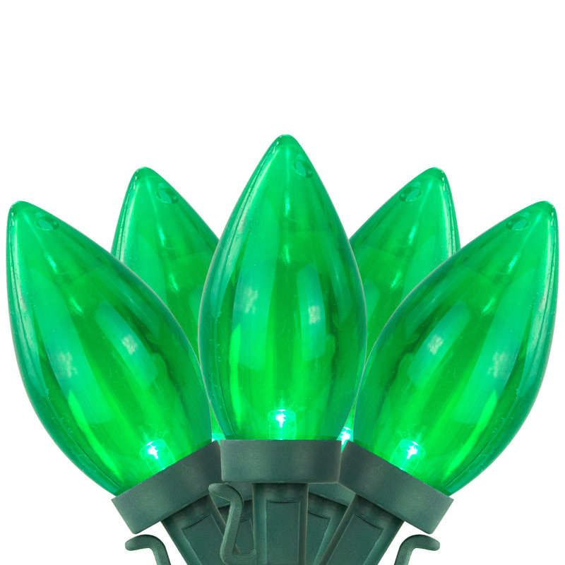 Ensemble de 25 lumières DEL de Noël C9 - fil vert 16 pi, Vert