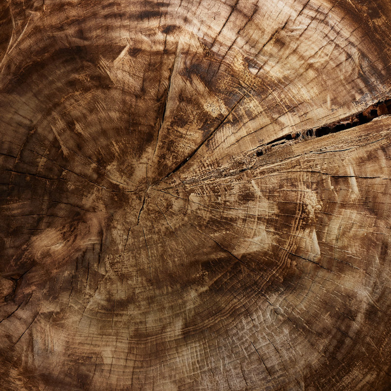 Jemal Decorative Bowl 1
