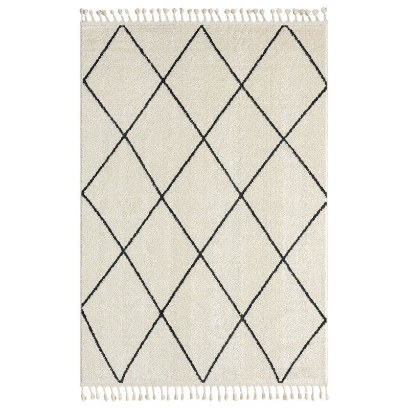Videlle Moroccan Indoor Rug, Rectangle 3' x 4'