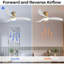 Ventilateur de plafond moderne de 52 pouces avec moteur à courant continu réversible à télécommande à 3 pales en bois massif à intensité variable
