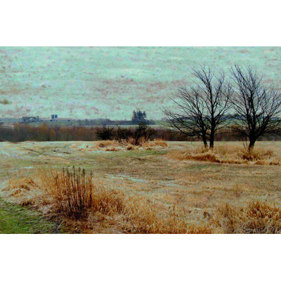 Fields II