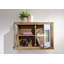 Turin Display Cabinet
