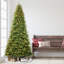Lighted Artificial Fir Christmas Tree-418965642