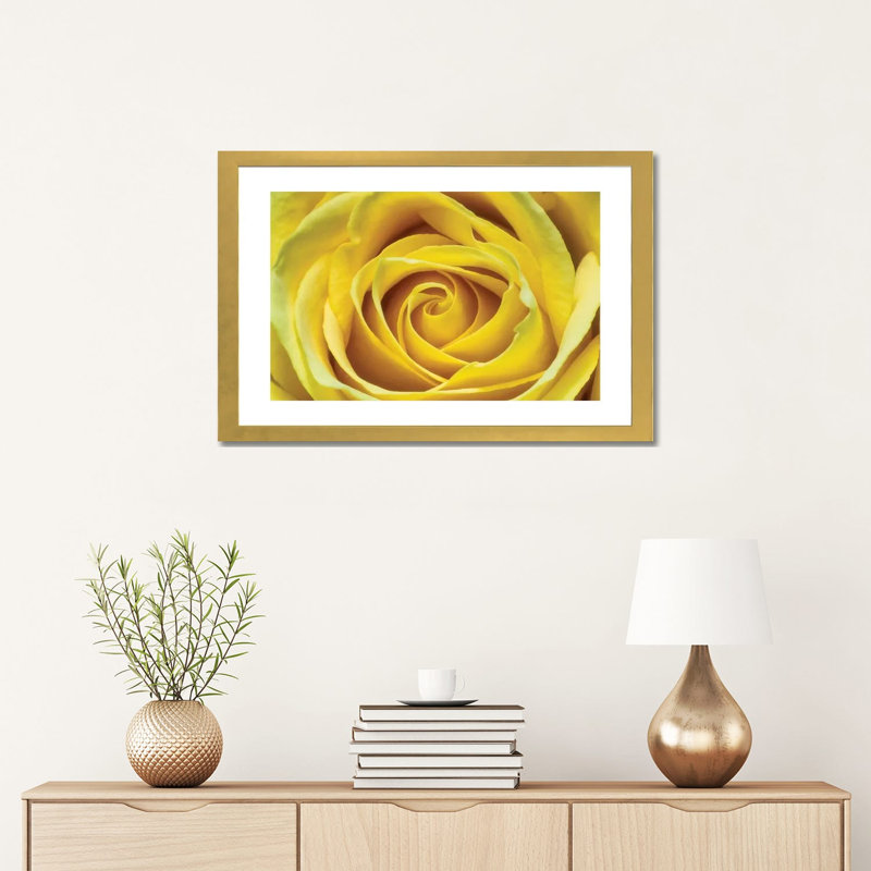 Jaune rose par Glauco Meneghelli-impression, Blanc, H 16 po x l 24 po x P 1 po, Papier encadré doré